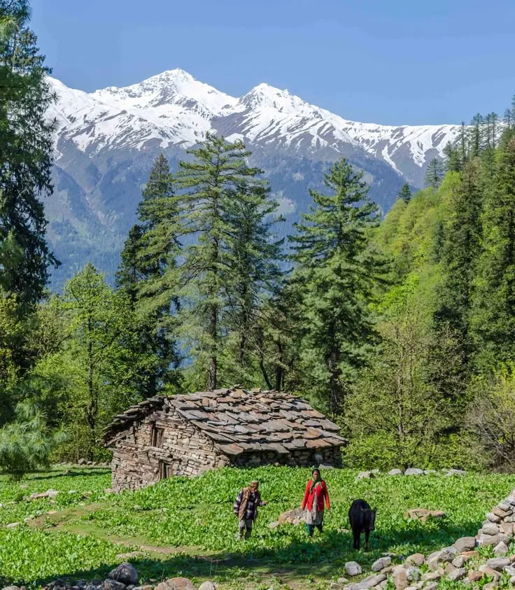 Malana Village Trek, Kasol